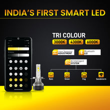 Beam Z4 (250 WATT) - Tri Colour - (All-weather visibility)